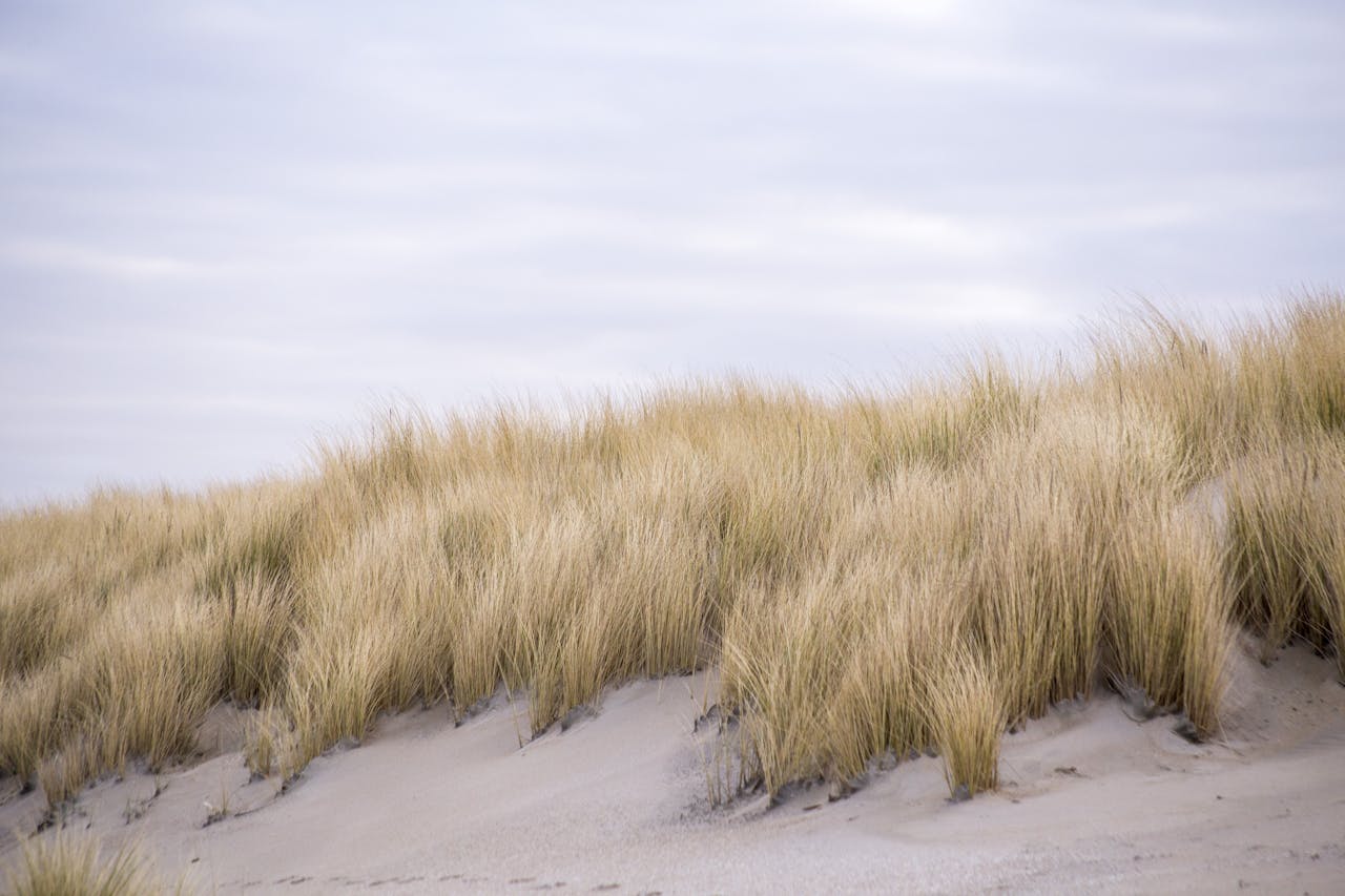 Energiezuinig wonen in Zeeland