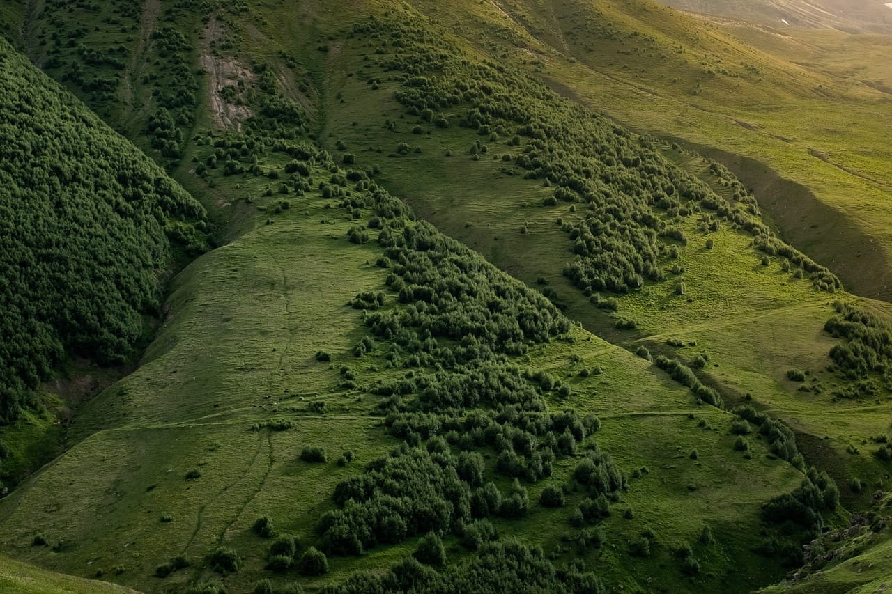 Reduce your carbon footprint with DGB group