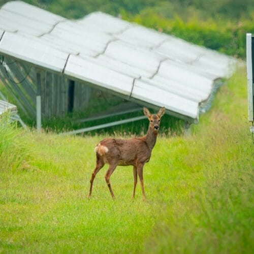 energieverhuizen-inspiratie toekomst in belans