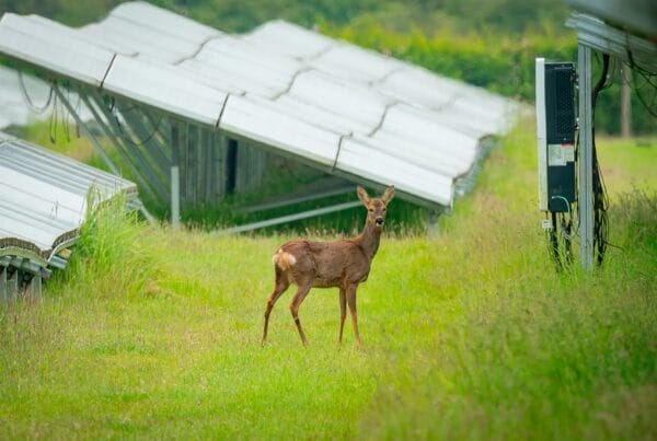 energieverhuizen-inspiratie toekomst in belans