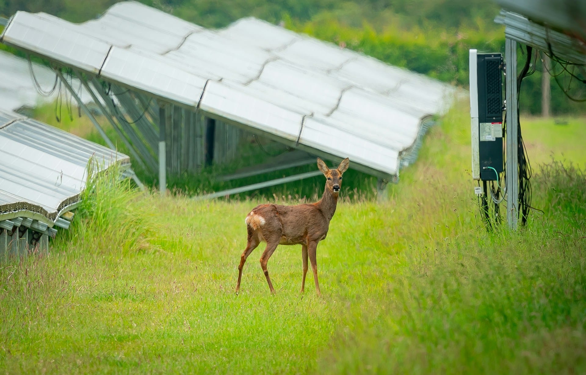 Inspiratie voor een toekomst in balans